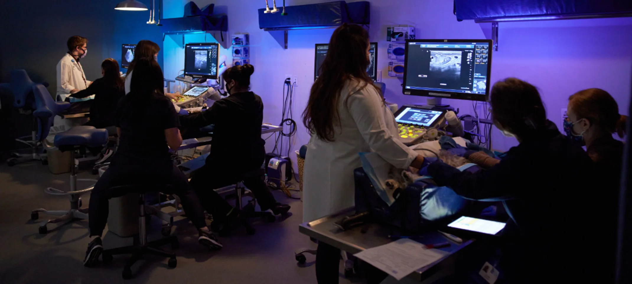 GCVS Imaging Room GCVS Imaging Room