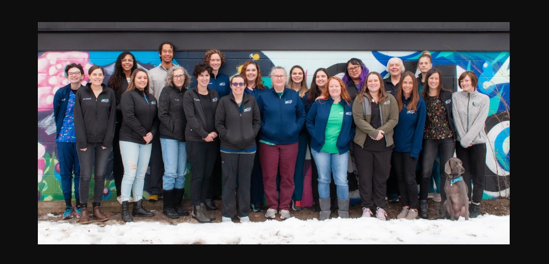 Family Veterinarian in Richfield, MN. Woodlake Veterinary Hospital