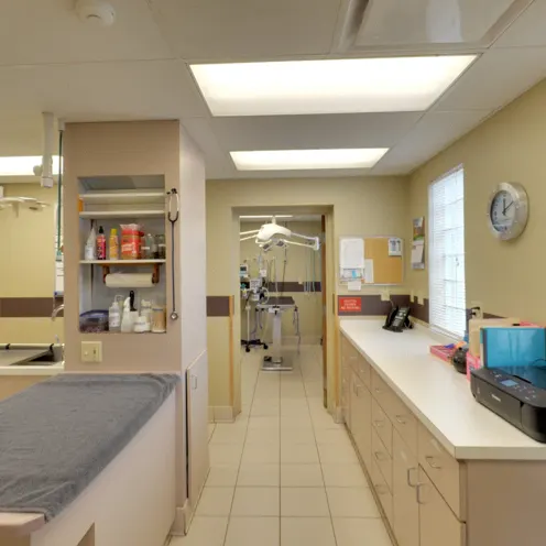 Peotone Animal Hospital - Surgery Room Area 2 which consists of a couple medical tables, medical supplies, equipments, sink, kennel area 