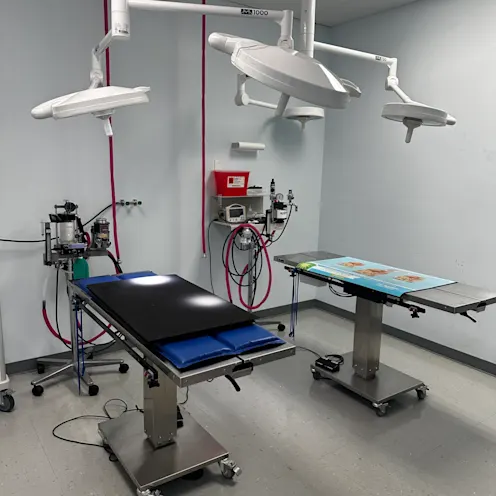 Keystone Veterinary Care Surgery Suite Keystone Veterinary Care Surgery Suite