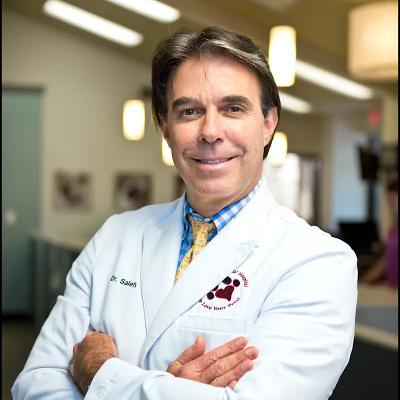 Dr. Farid Saleh Dr. Farid Saleh