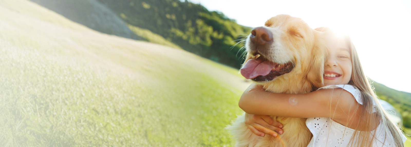 Girl Hugging Golden Retriever on a Grassy Field