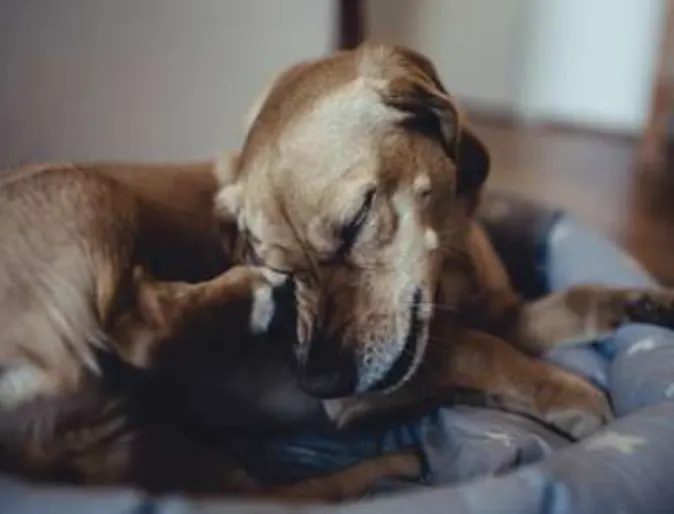 Skin Issues Skin Issues