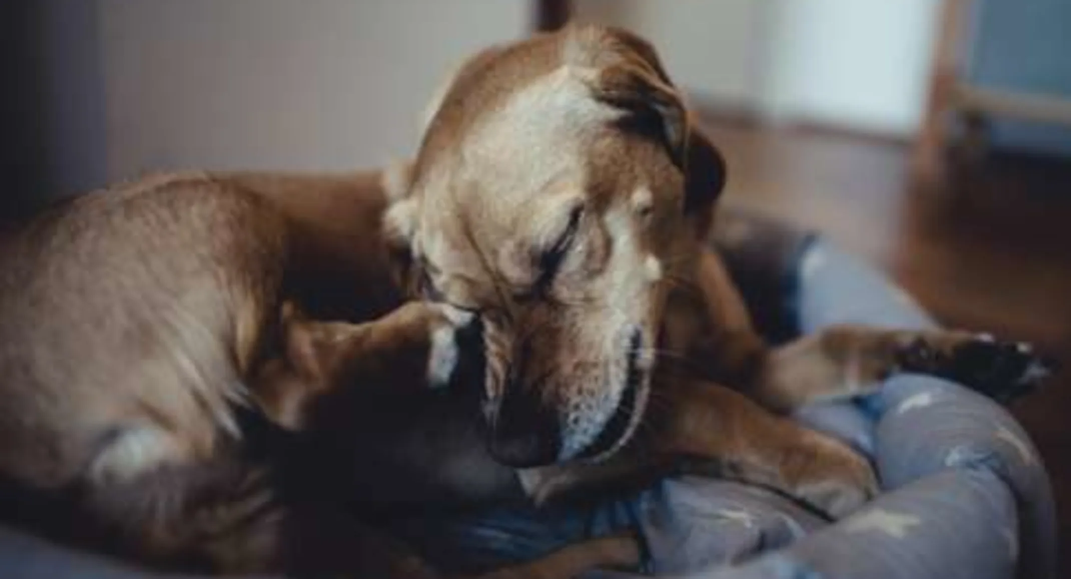 Skin Issues Skin Issues