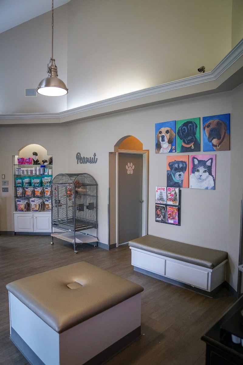 Inside Hill Country Animal Hospital and waiting area