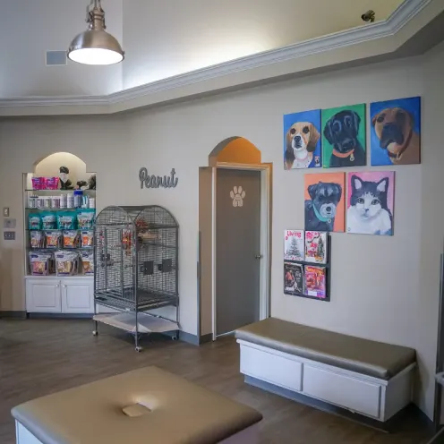 Inside Hill Country Animal Hospital and waiting area