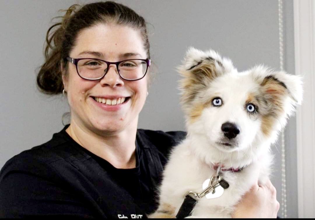 Williamstown Veterinary Services staff member Erin holding a dog