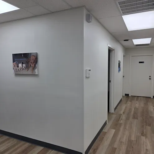 Family Pet Clinic Richland hallway Family Pet Clinic Richland hallway