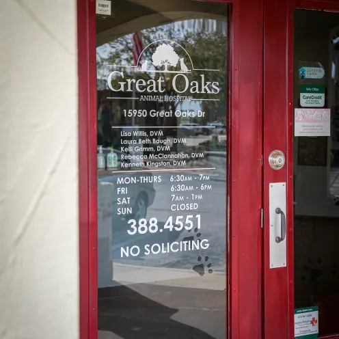 front door of Great Oaks Animal Hospital