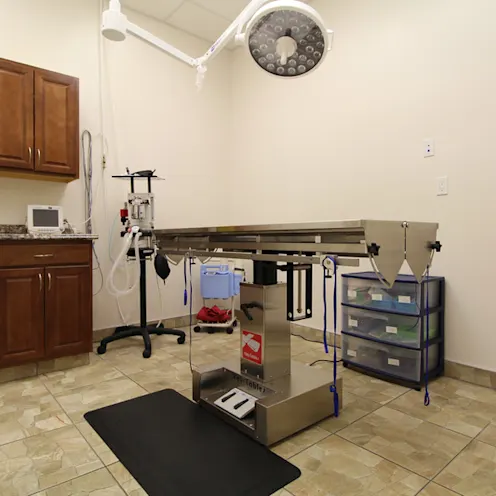 Examination Room at Sherwood Veterinary Clinic Examination Room at Sherwood Veterinary Clinic