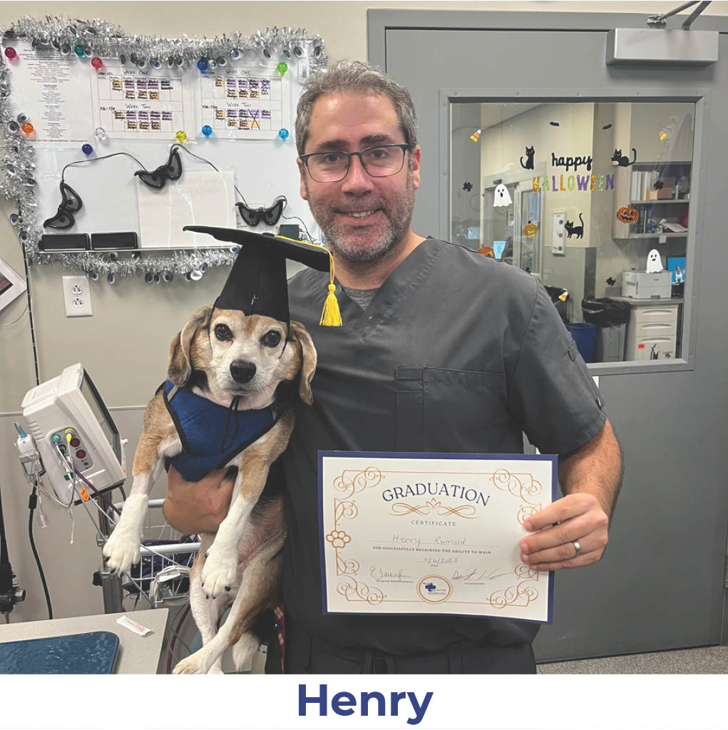Henry the dog with Neurology Graduate Hall of Fame certificate