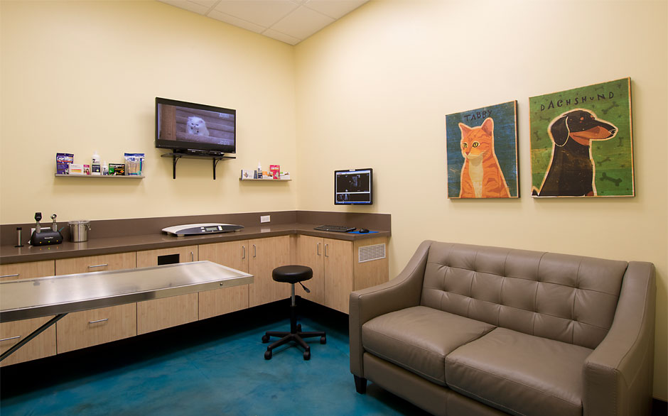 Animal Oasis Veterinary Hospital Exam room