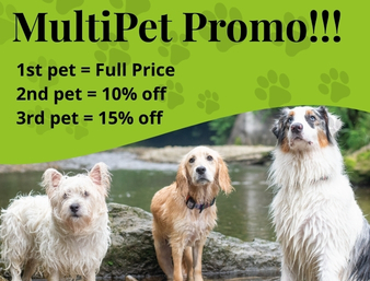 MultiPet Promo