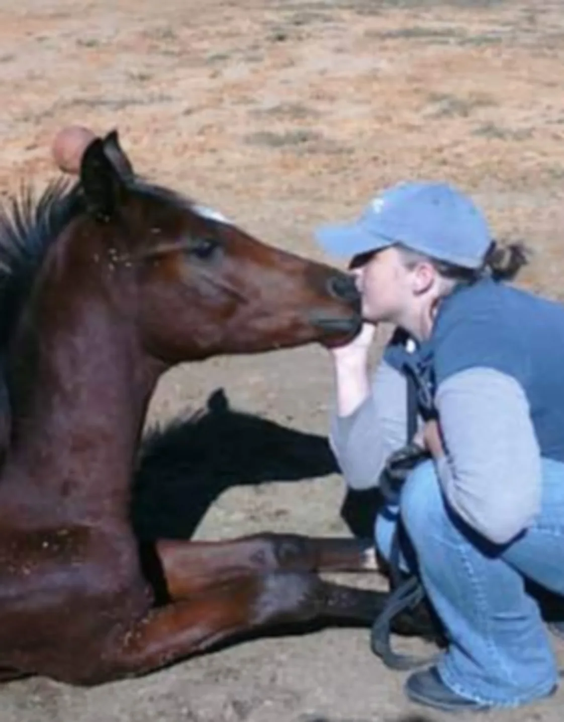 Dr. Dundas  Dr. Dundas