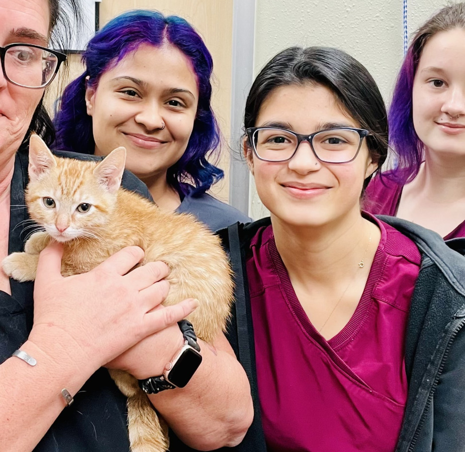 Four Staff Members and One Orange Kitten