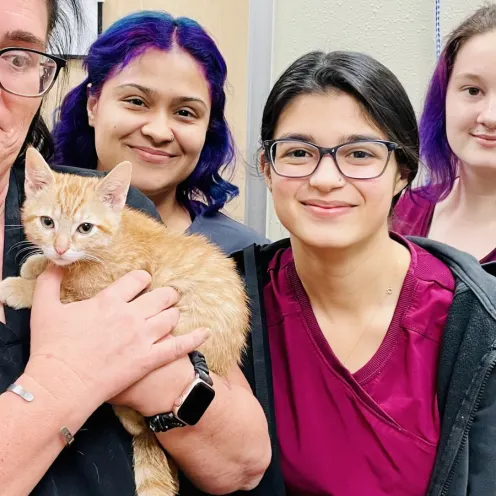Four Staff Members and One Orange Kitten