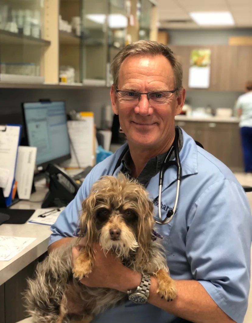 Dr. Steve Boharski, DVM at Garland Animal Clinic