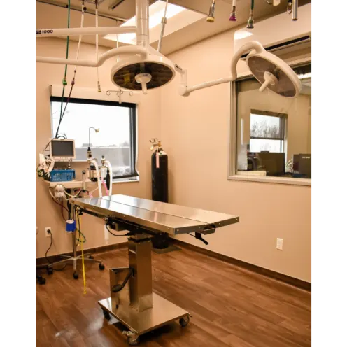 Surgery Suite in All City Pet Care Veterinary Emergency Hospital