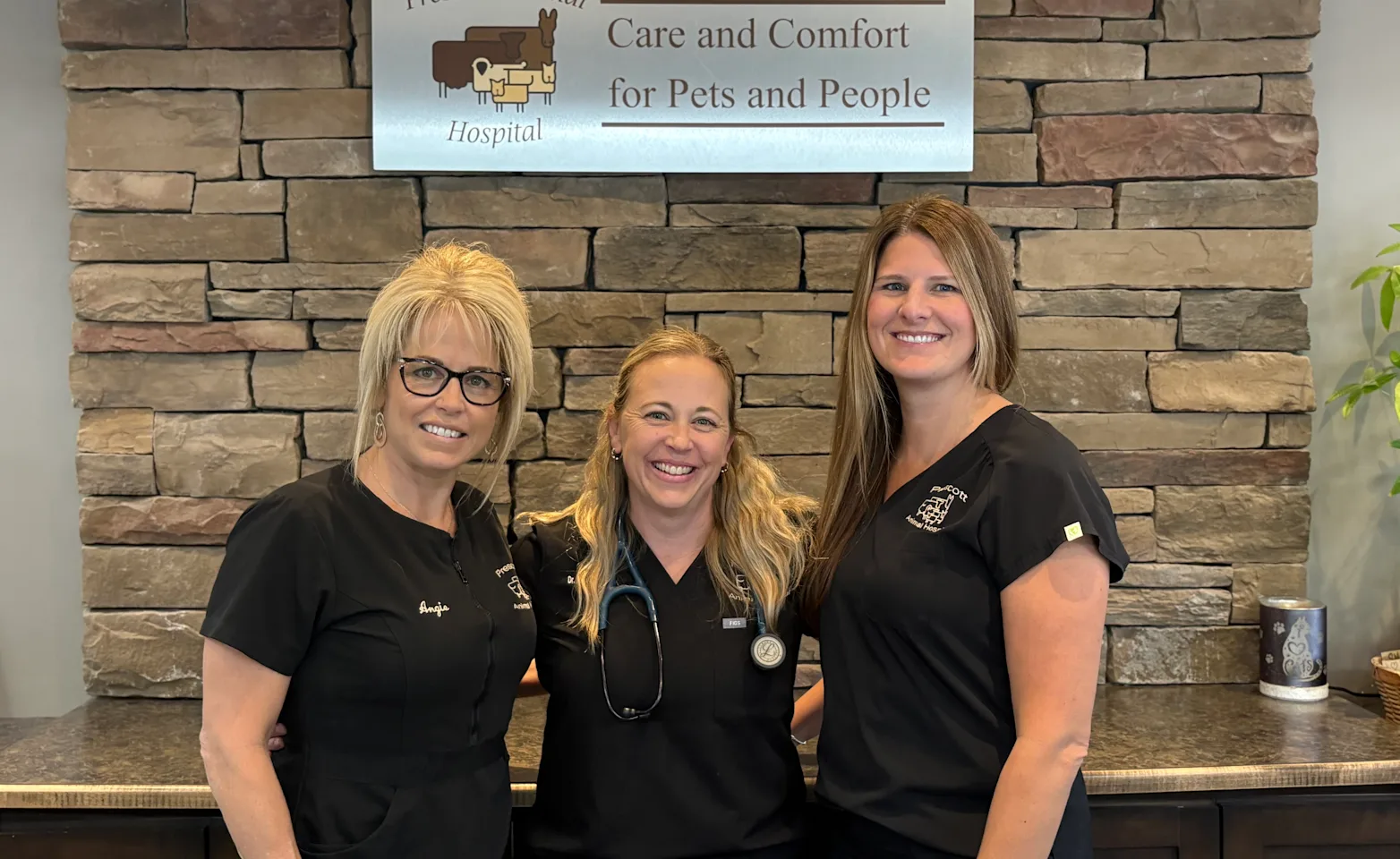 care and comfort for pet and 3 staffs care and comfort for pet and 3 staffs