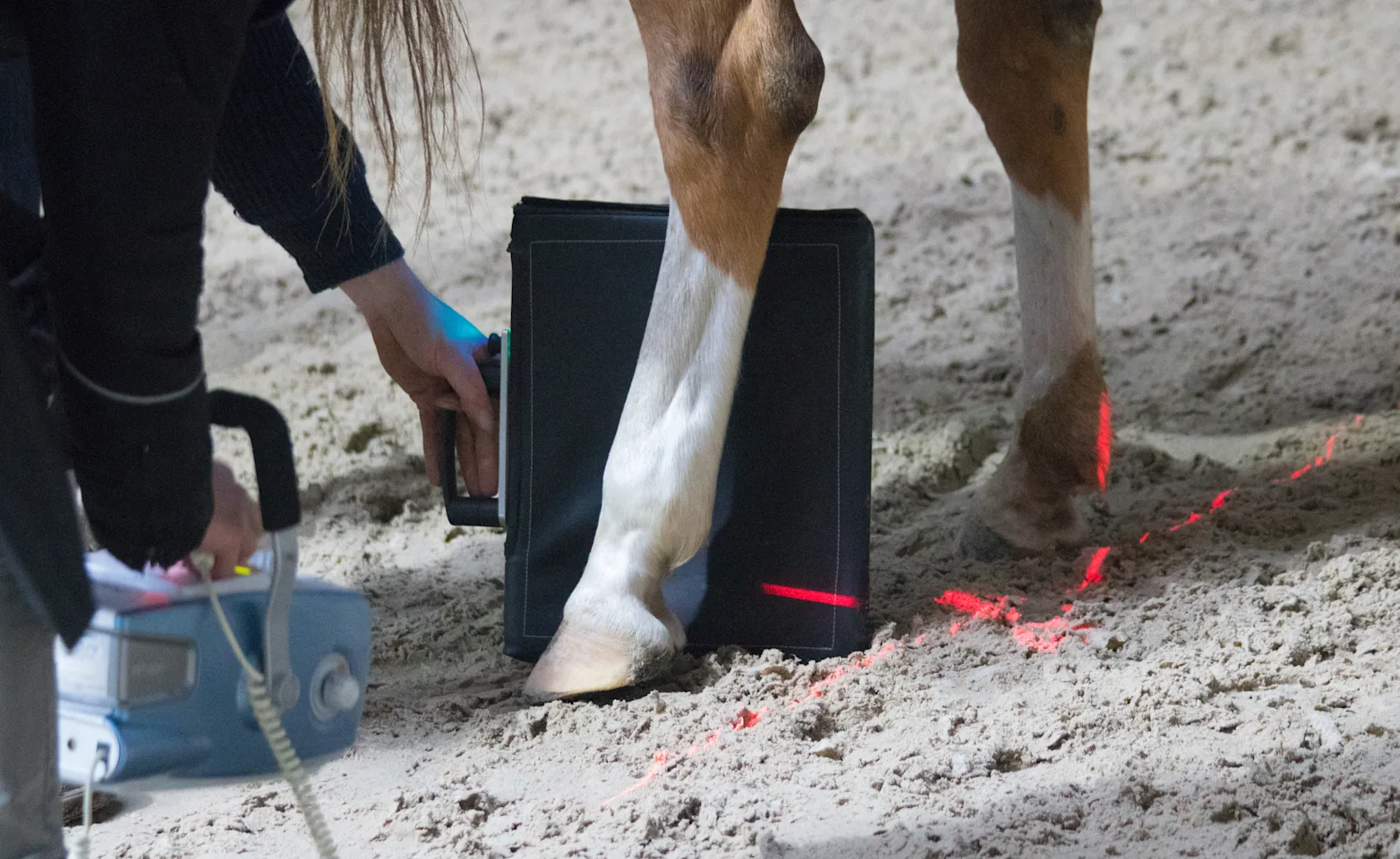 Therapeutic Shoeing 3 Therapeutic Shoeing 3