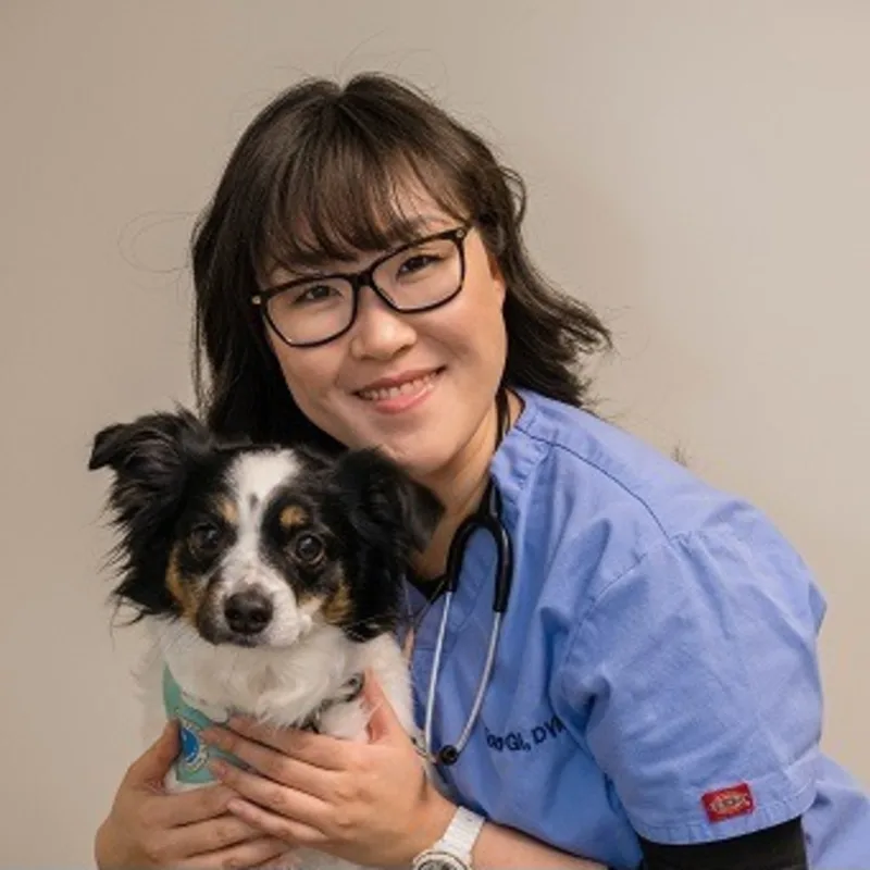 Dr. Sonia Gi Dr. Sonia Gi