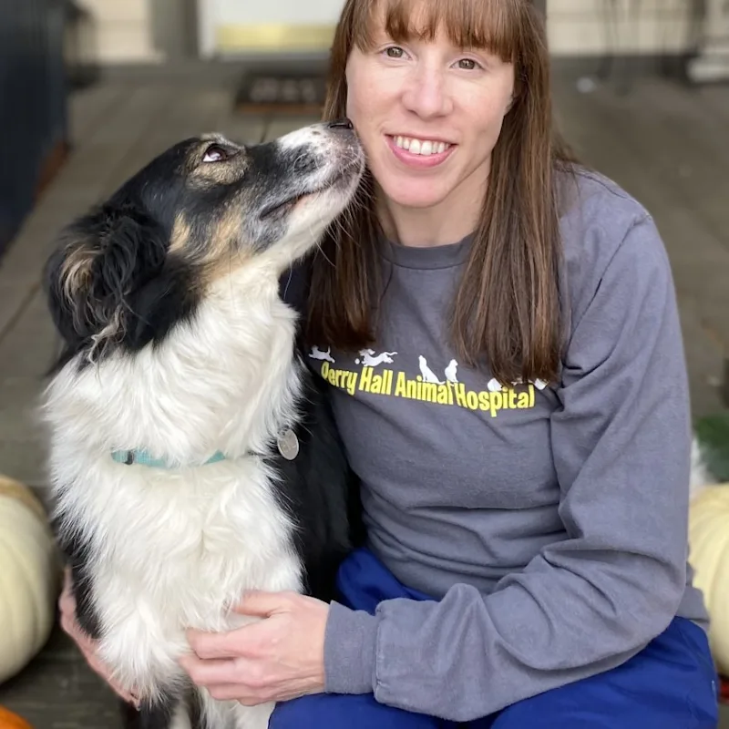 Perry Hall Animal Hospital Ashleigh Baer Perry Hall Animal Hospital Ashleigh Baer
