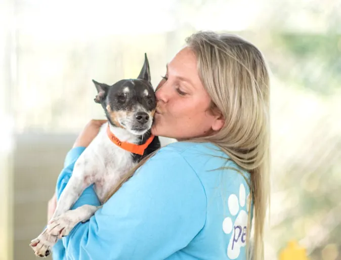 Dog and PetSuites Staff Dog and PetSuites Staff