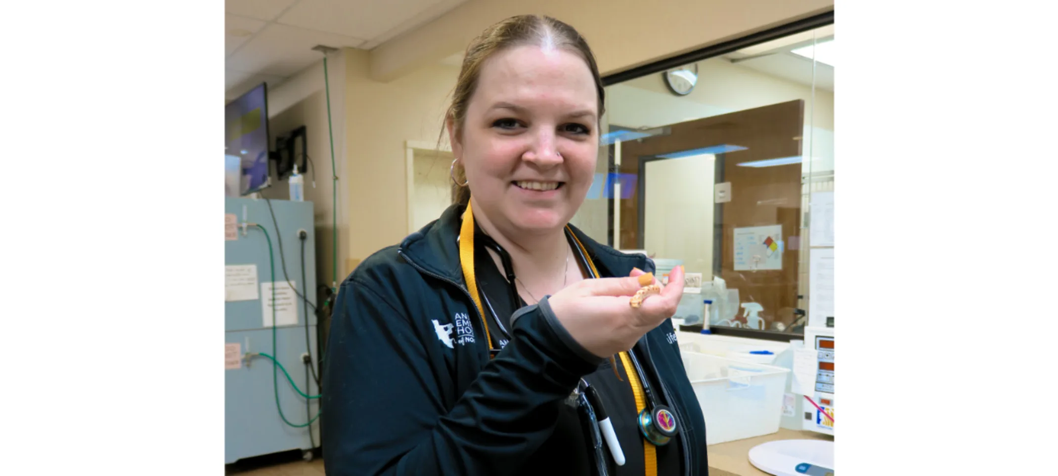 Staff member holding a snake Staff member holding a snake