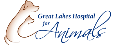 Great Lakes Hospital for Animals Logo Great Lakes Hospital for Animals Logo