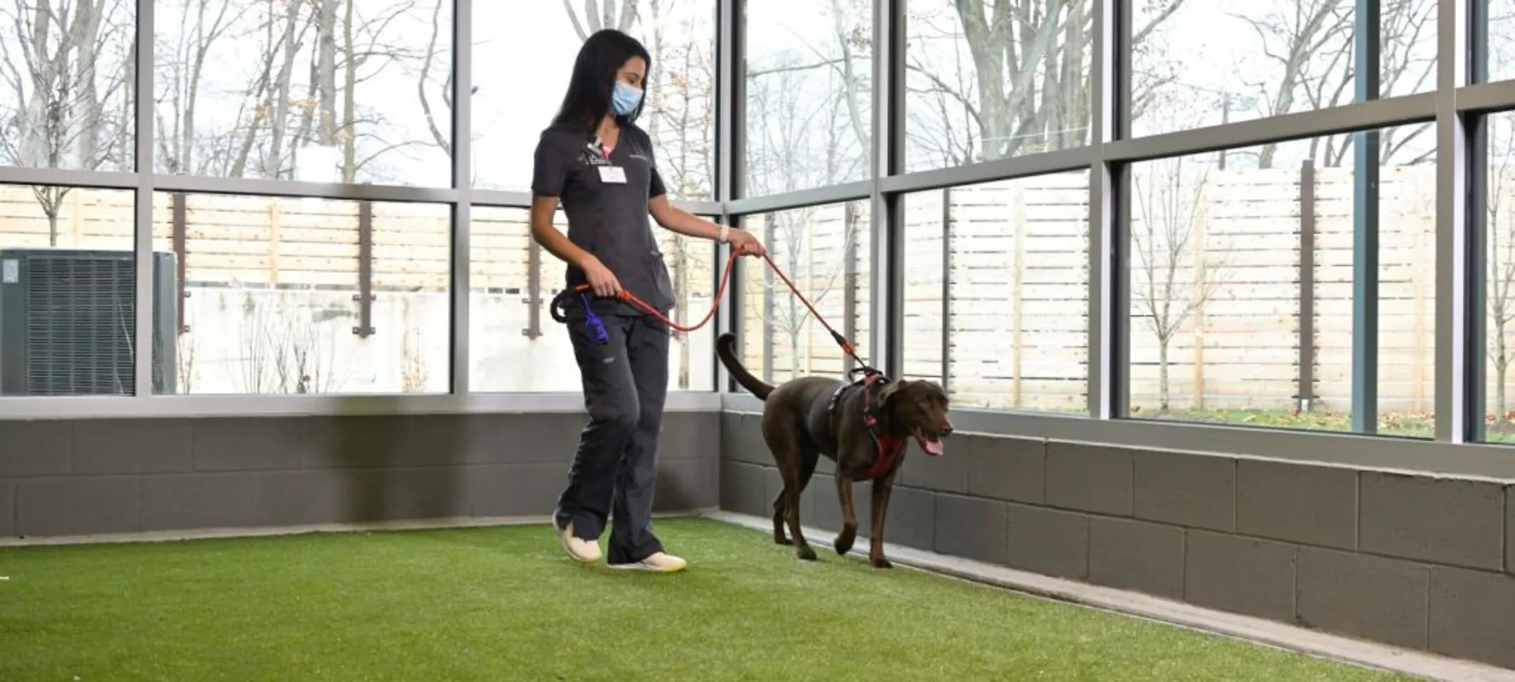 A view of a walking area at Animal Emergency & Referral Associates A view of a walking area at Animal Emergency & Referral Associates