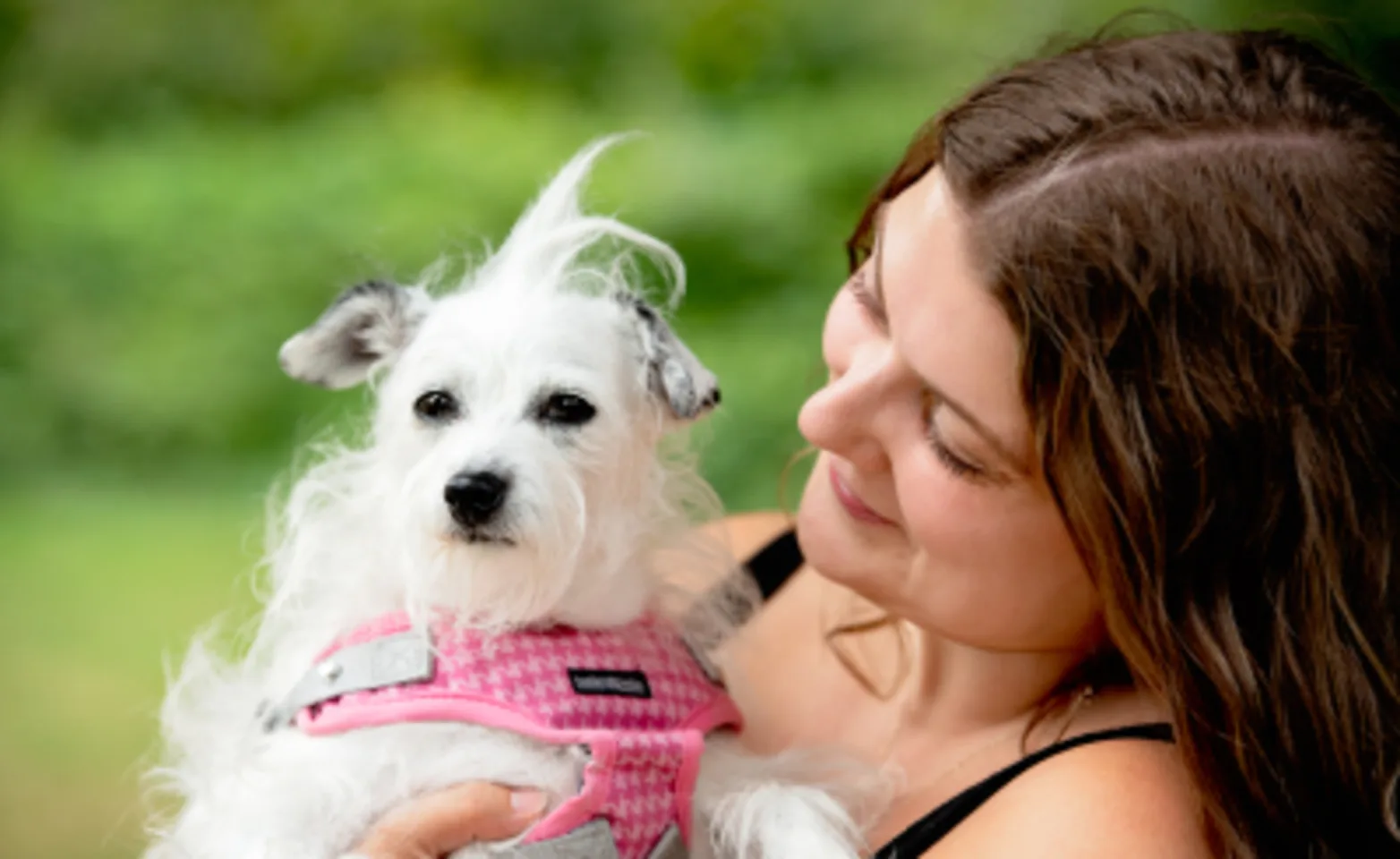 An owner holding a dog An owner holding a dog