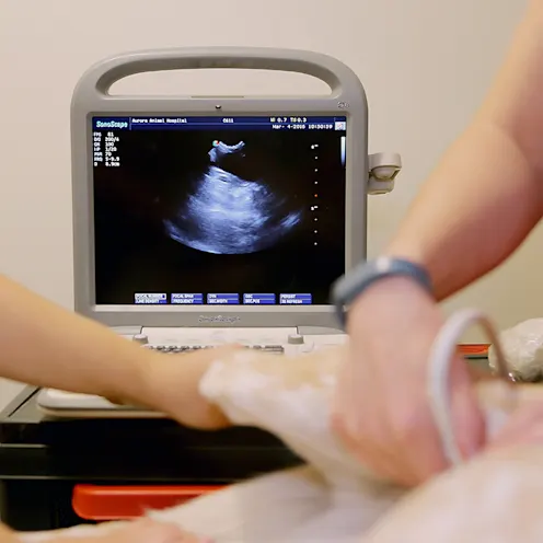 In-house ultrasound and a Board Certified pet Radiologist for advanced diagnostic capabilities In-house ultrasound and a Board Certified pet Radiologist for advanced diagnostic capabilities