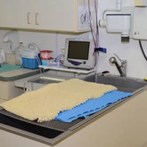 Dental Table at Alta Animal Hospital