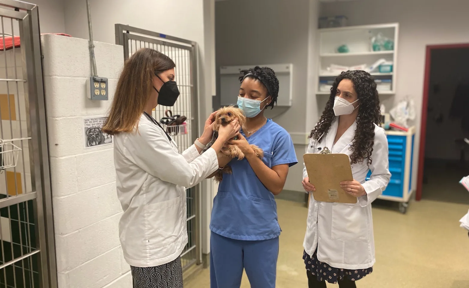 staff members holding puppy 