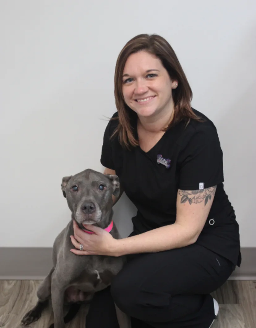 Ashley P. New Haven Pet Hospital with gray dog