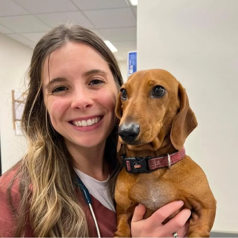 Dr. Madison Smith Dr. Madison Smith