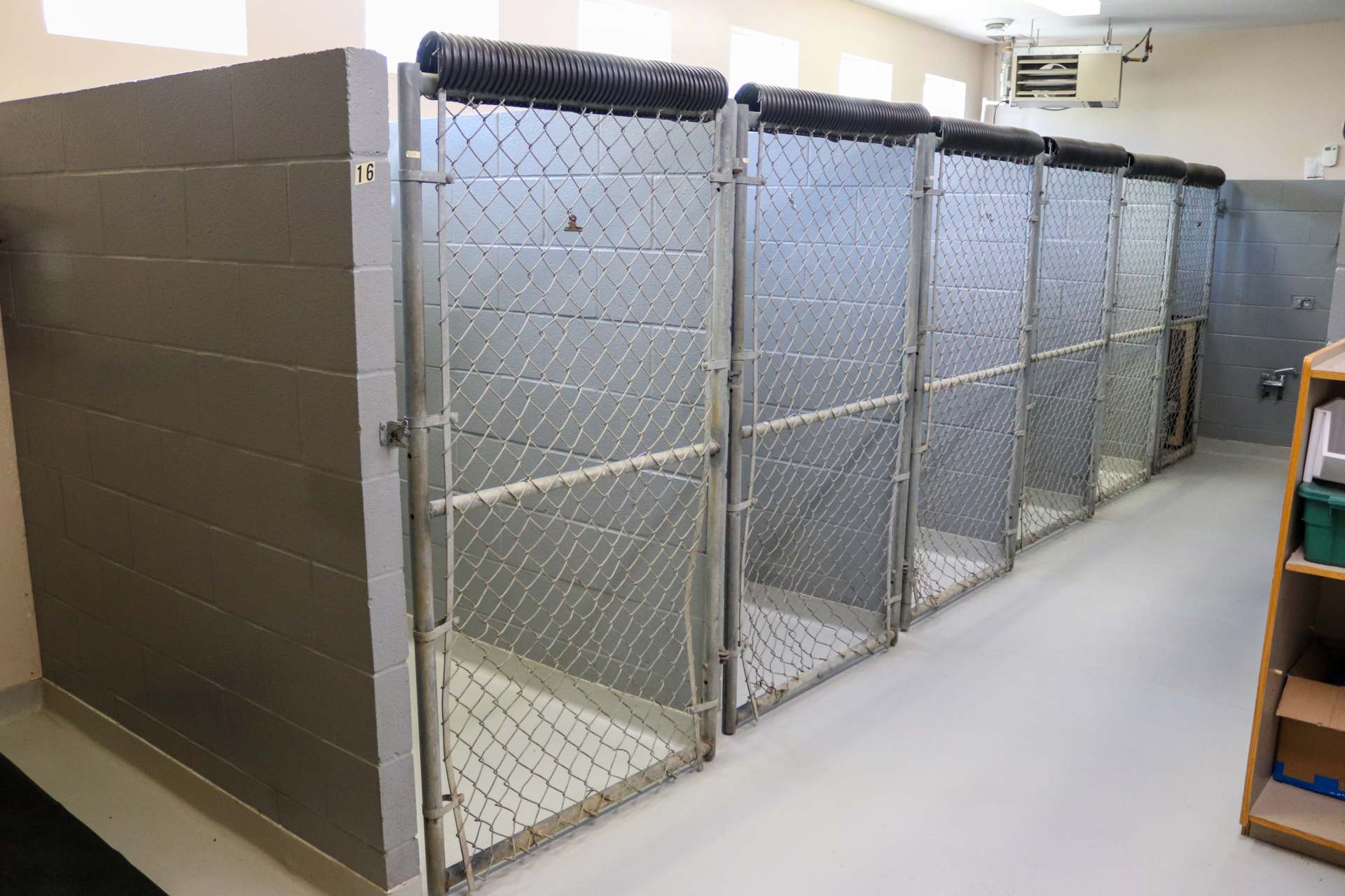 Kennels