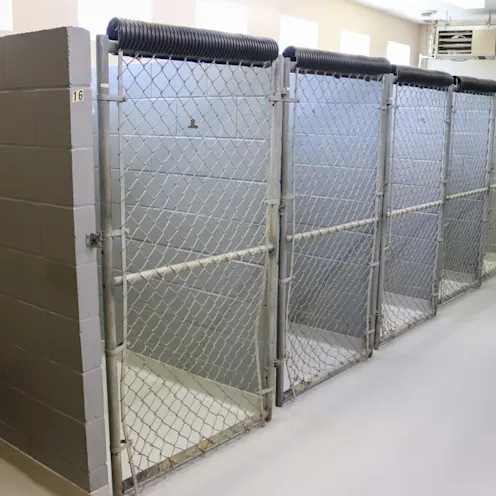Kennels Kennels