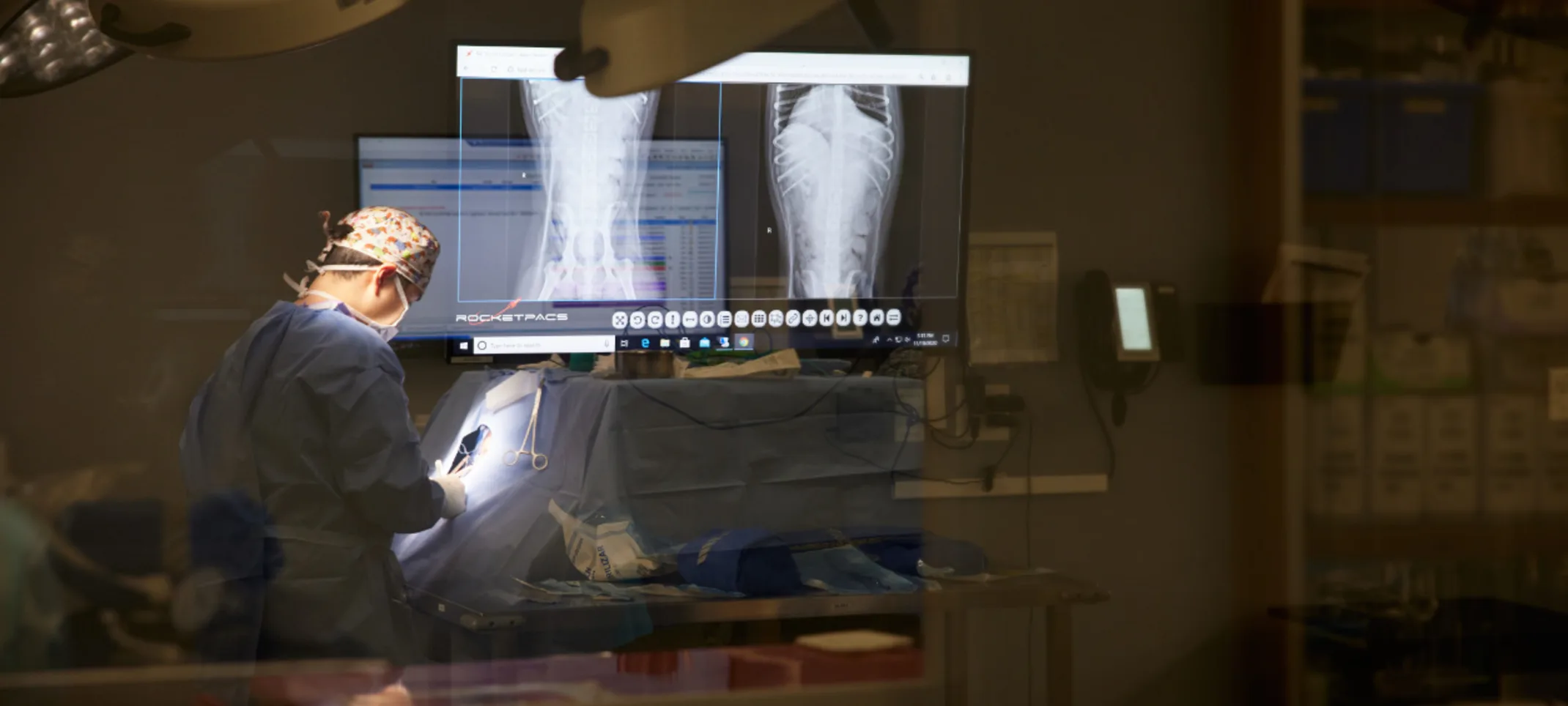 Pet scans displayed while vet is performing operation Pet scans displayed while vet is performing operation