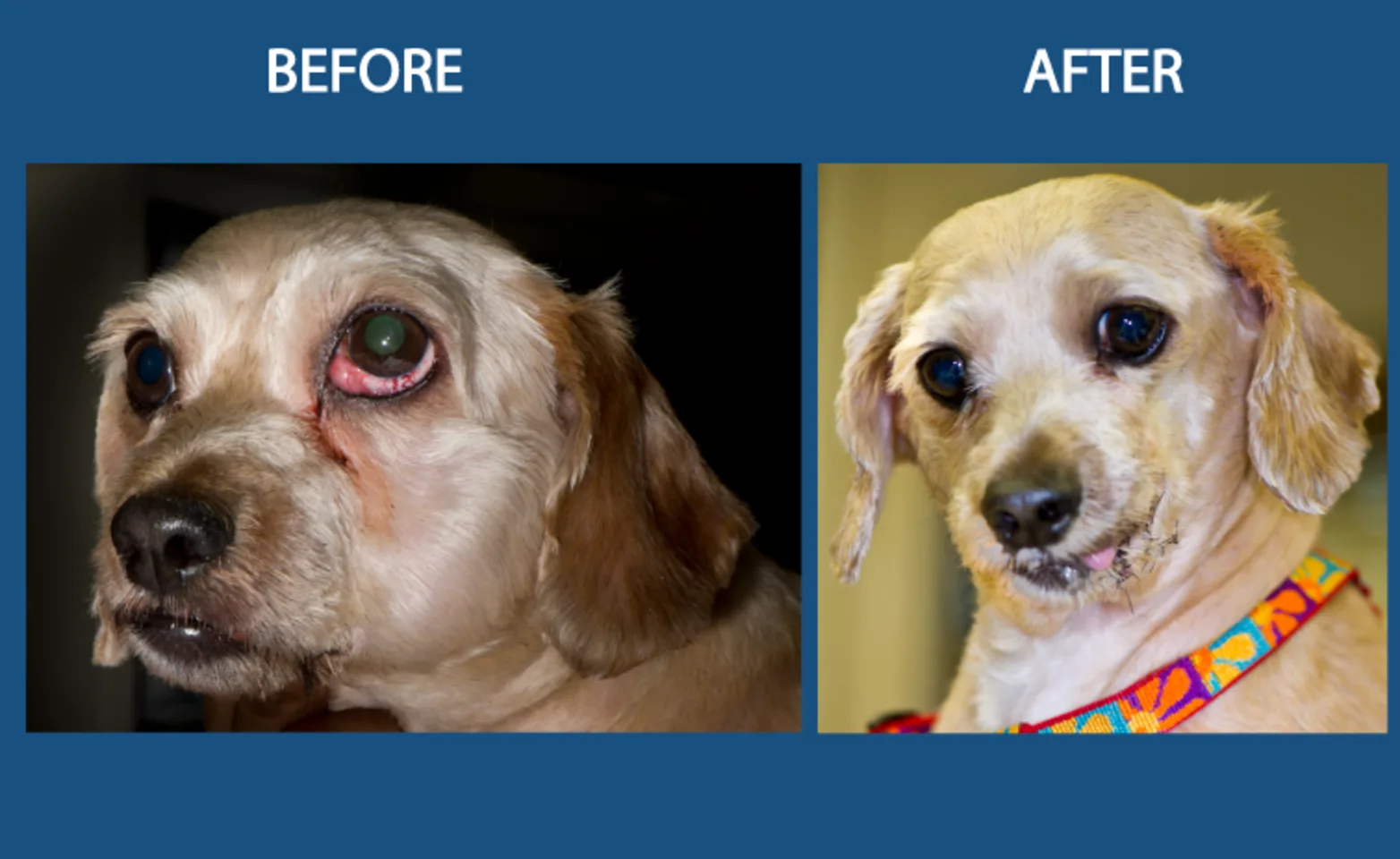 Oral swellings Oral swellings