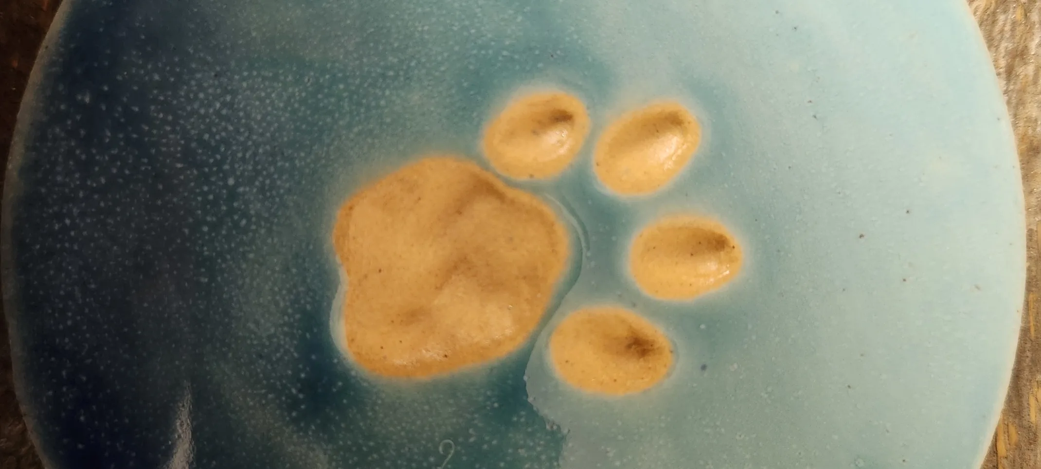 Paw print on a glossy clay item to remember a loved pet. Paw print on a glossy clay item to remember a loved pet.