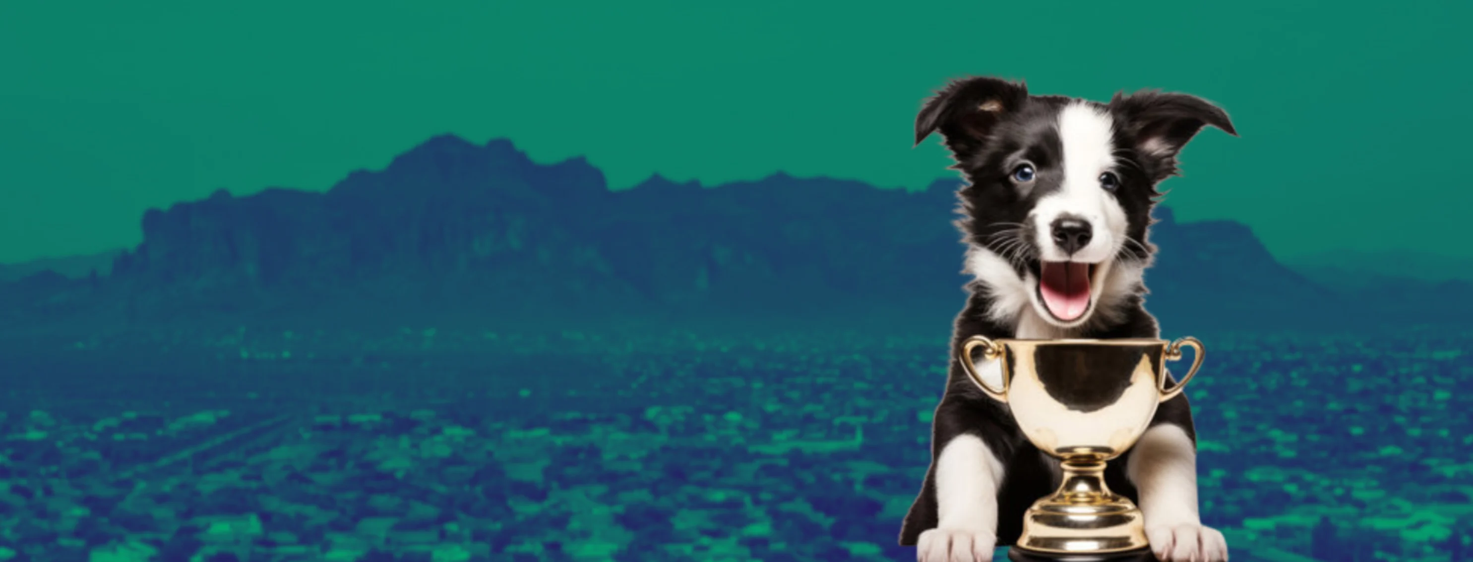 4 Paws Pet Resort Best Pet Services 2025 4 Paws Pet Resort Best Pet Services 2025