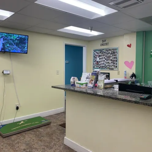 Reception area in Pittsburgh Premier Veterinary Care.
