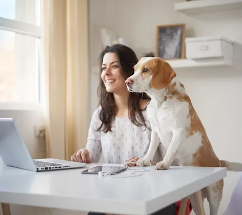 Woman and dog sitting at desk looking at laptop