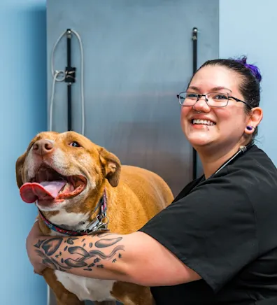 New Staff Member New Staff Member