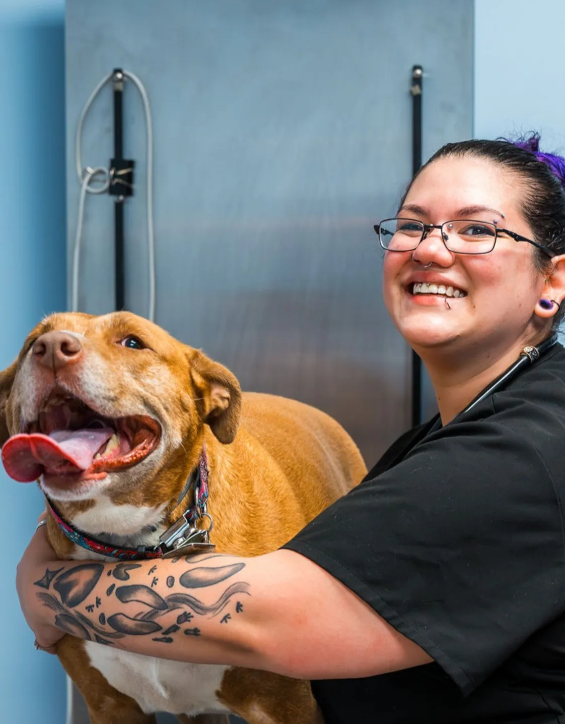 New Staff Member New Staff Member