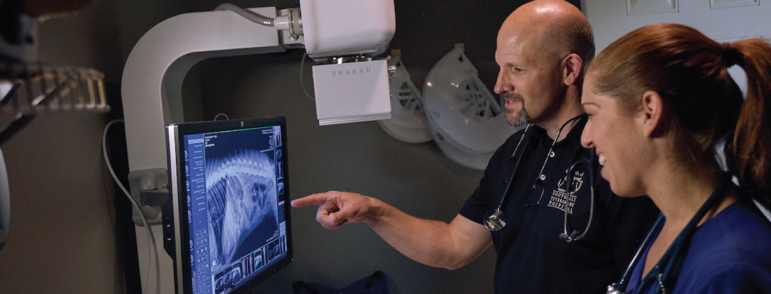 Looking at x-ray results at Foothills Veterinary Hospital