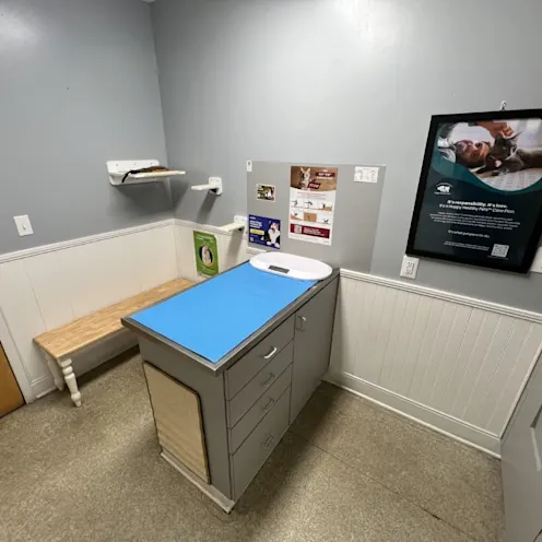 Exam Room at Hanover Regional Animal Hospital Exam Room at Hanover Regional Animal Hospital