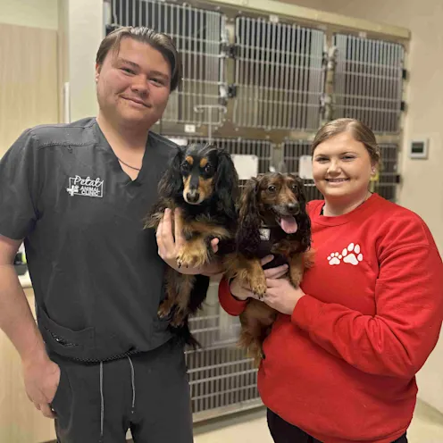 Our Staff with Two Happy Patients (Dogs) Our Staff with Two Happy Patients (Dogs)