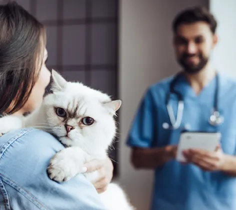 A woman holding a cat with a staff member A woman holding a cat with a staff member